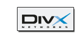 DivX Networks Logo