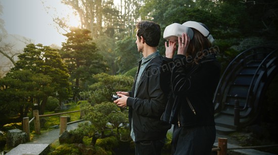 DJI Goggles