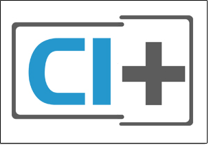 Common Interface Plus