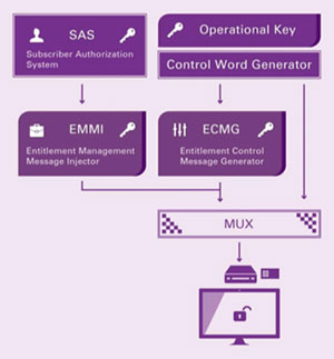 Conditional Access System