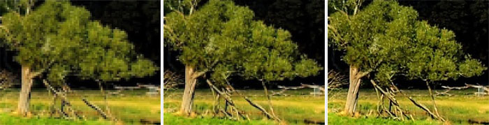 Illustration image SD/mise � l'�chelle/HD