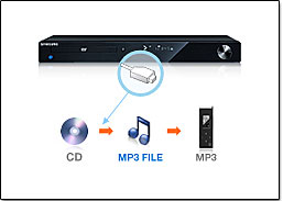 Illustration ripping