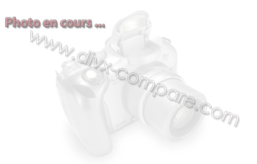 STOREX DivaBox Mini 500 Go