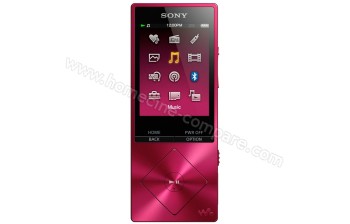 SONY NW-A25HNP 16 Go
